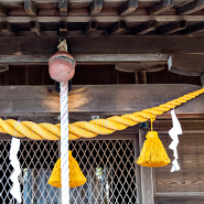 龍造寺（りゅうぞうじ）