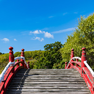 天川理花子先生